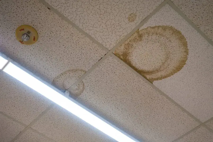 Water-stained ceiling tiles beside a light fixture in a commercial building in Union, NJ