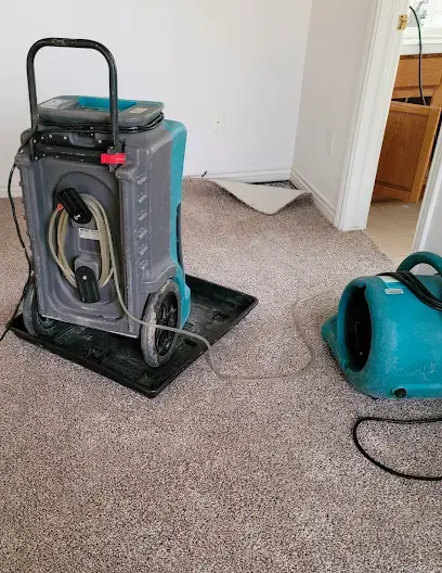 LGR dehumidifier and air mover drying carpet and walls in a Union, NJ room